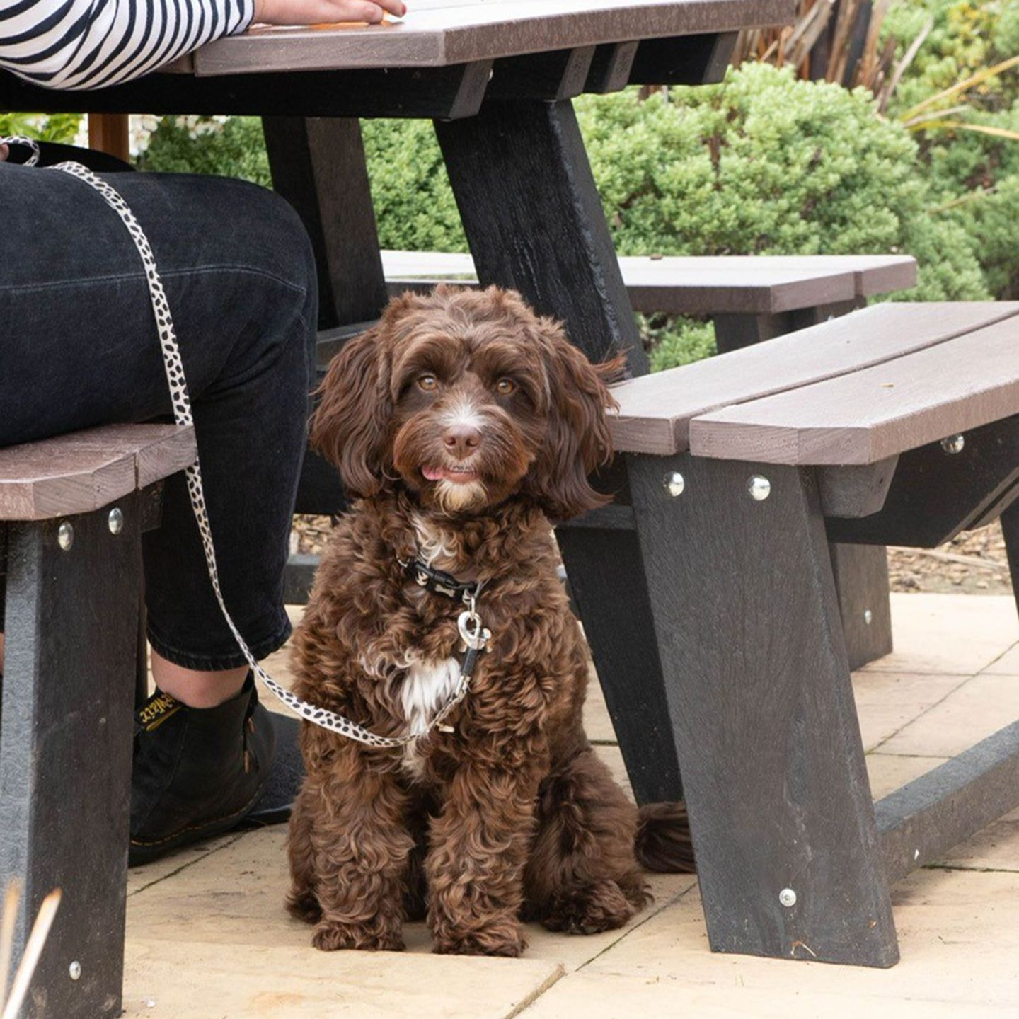 Your local dog friendly pub in Southport